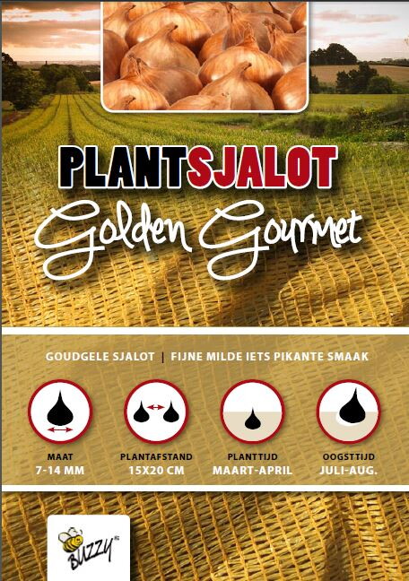 Plantsjalotten Golden Gourmet 500gr