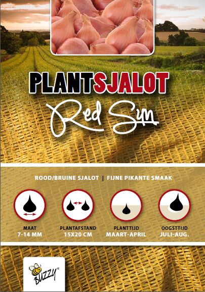 Plantsjalotten Red Sun 250gr