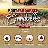 Pootaardappel Annabelle 1Kg