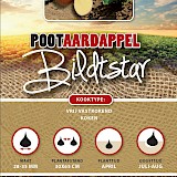 Pootaardappel Bildtstar 2,5 Kg