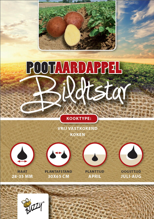 Pootaardappel Bildtstar 2,5 Kg
