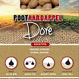 Pootaardappel Dore 1Kg