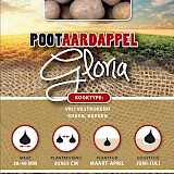 Pootaardappel Gloria 2,5 Kg