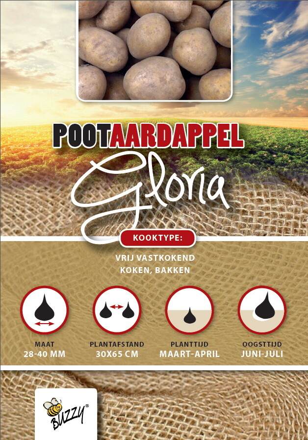 Pootaardappel Gloria 2,5 Kg