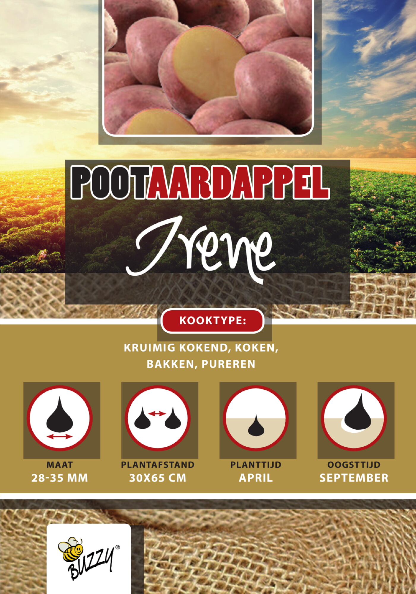 Pootaardappel Irene 28/35 1 Kg