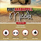 Pootaardappel Nicola 1 Kg