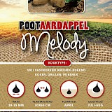Pootaardappel Melody 1Kg