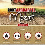 Pootaardappel Mozart 1Kg