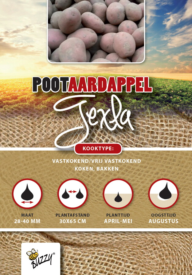 Pootaardappel Texla 1 Kg