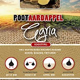 Pootaardappel Agria 1 Kg