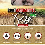 Pootaardappel Bio Raja/ Alouette 1 Kg