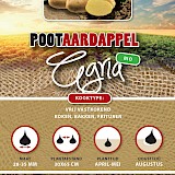 Pootaardappel Bio Agria 1 Kg