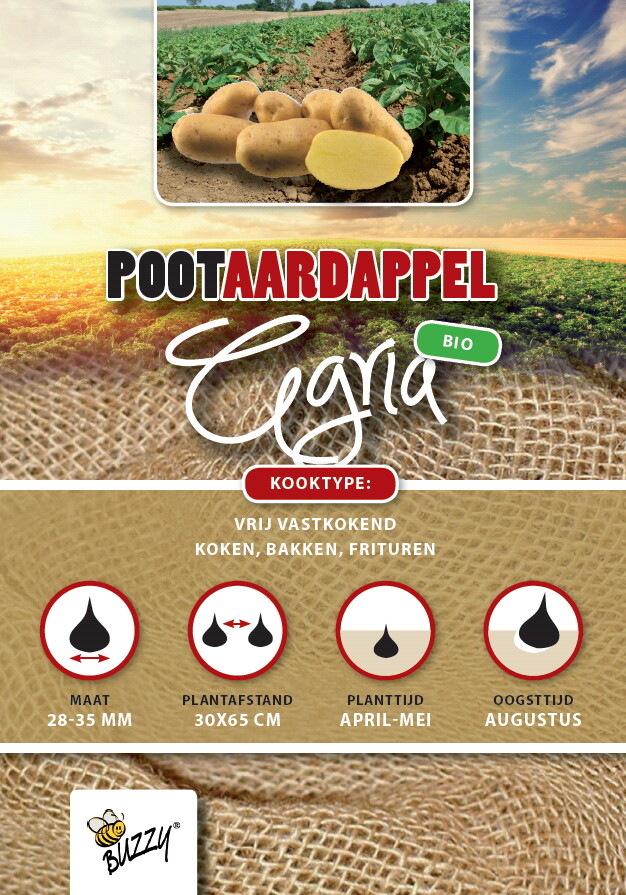 Pootaardappel Bio Agria 1 Kg