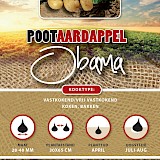 Pootaardappel Obama 1 Kg