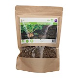 Buzzy Groenbemester Zaden Voederbiet Zaden Brigadier 250g