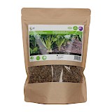 Buzzy Groenbemester Zaden Voederbiet Zaden Zentaur Poly 250g