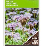 Buzzy Groenbemester Zaden Phacelia Tanacetifolia 100g