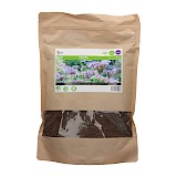 Buzzy Groenbemester Zaden Phacelia Tanacetifolia 1kg