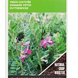 Buzzy Groenbemester Zaden Wikke 150g