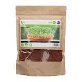 Buzzy Groenbemester Zaden Tuinkers Gewone 500g