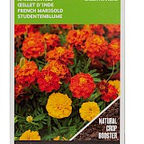 Buzzy Groenbemester Zaden Tagetes Bonita 50g