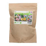 Buzzy Groenbemester Zaden Bloemenmengsel voor Bijen 250g