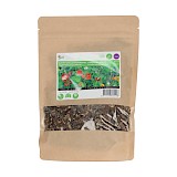 Buzzy Groenbemester Zaden Lieveheersbeestjes bloemenmengsel 250g