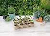 SOGO Eco kweektray incl. 12 paperpots 9cm