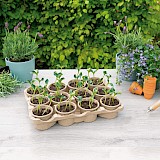 SOGO Eco kweektray incl. 12 paperpots 9cm