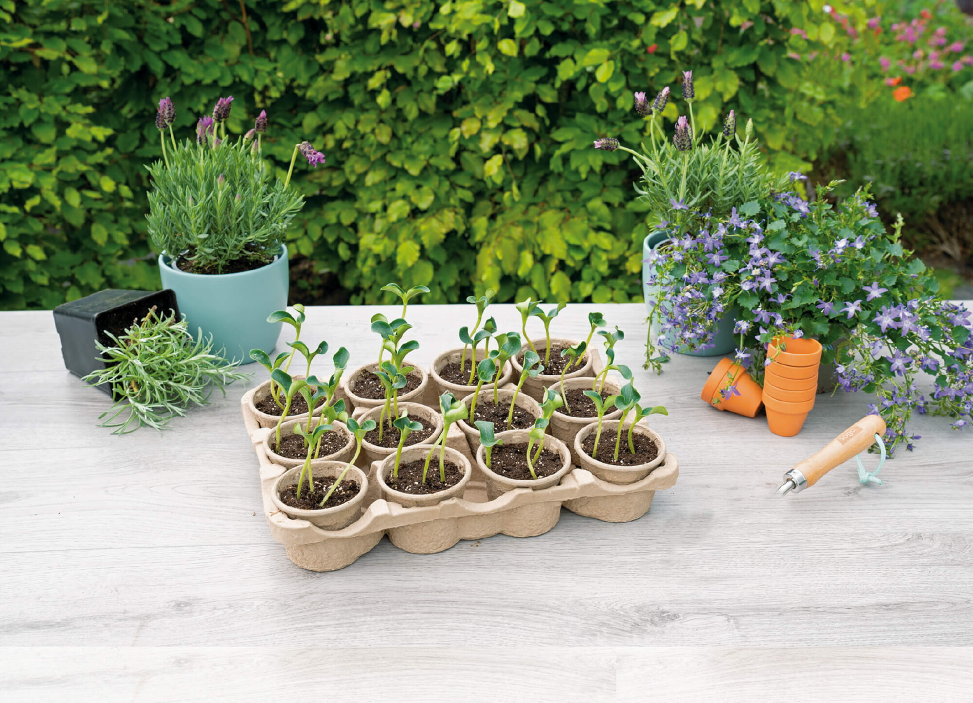 SOGO Eco kweektray incl. 12 paperpots 9cm