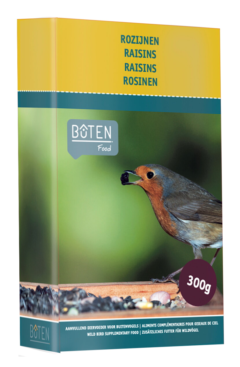 Bûten Food Rozijnen in doosje 300g