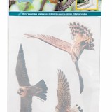 Bûten Gift Raamstickers vogels 6st.