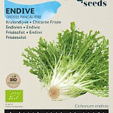 Buzzy Biologische Krulandijvie Zaden Grosse Pancalière