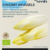 Buzzy Biologische Witlof Zaden Hollandse Middelvroeg