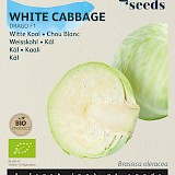 Buzzy Biologische Witte Kool Zaden Drago F1
