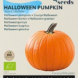 Buzzy Biologische Pompoen Zaden Jack O'Lantern