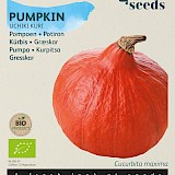 Buzzy Biologische Pompoen Zaden Uchiki Kuri