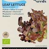 Buzzy Biologische Pluksla Zaden Red Salad Bowl