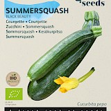 Buzzy Biologische Courgette Zaden Black Beauty