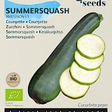 Buzzy Biologische Courgette Zaden Partenon F1