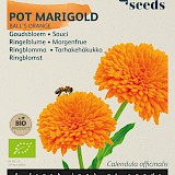 Buzzy Biologische Goudsbloem Zaden Balls Orange