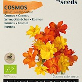 Buzzy Biologische Cosmos Zaden Bright Lights Mix