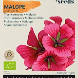 Buzzy Biologische Malope Zaden Red Queen