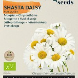 Buzzy Biologische Chrysanthemum Zaden Margriet May Queen