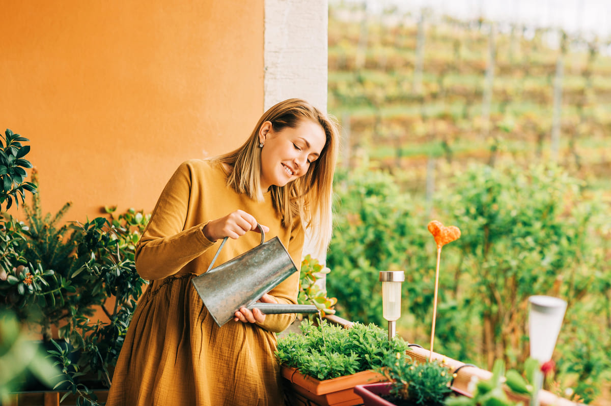 Welke planten zet je op het balkon of in de daktuin?