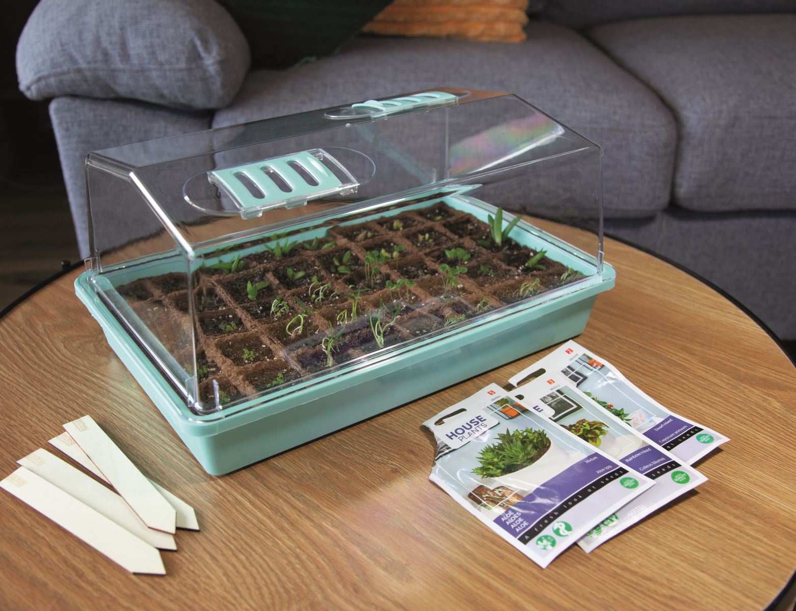 12x originele kamerplanten die je zelf kunt opkweken