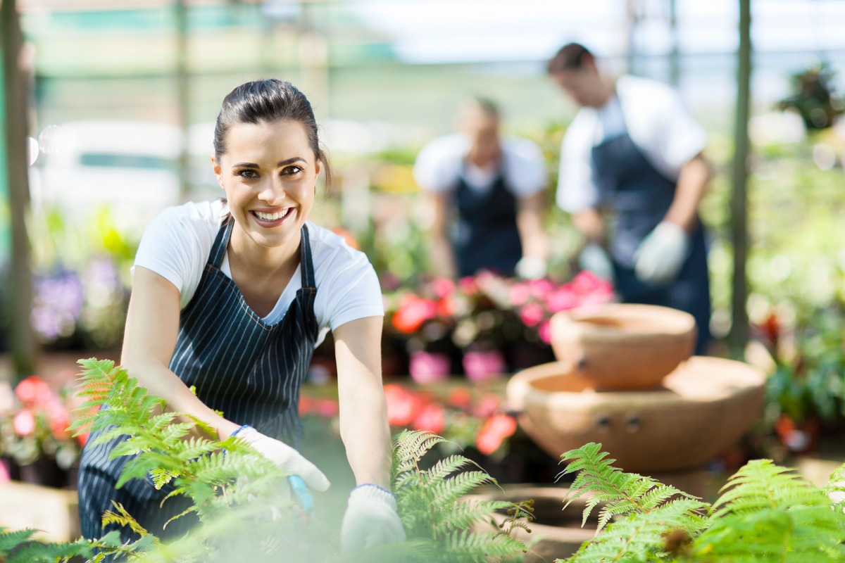 Combinatieteelt: alles over goede en slechte buren in de moestuin