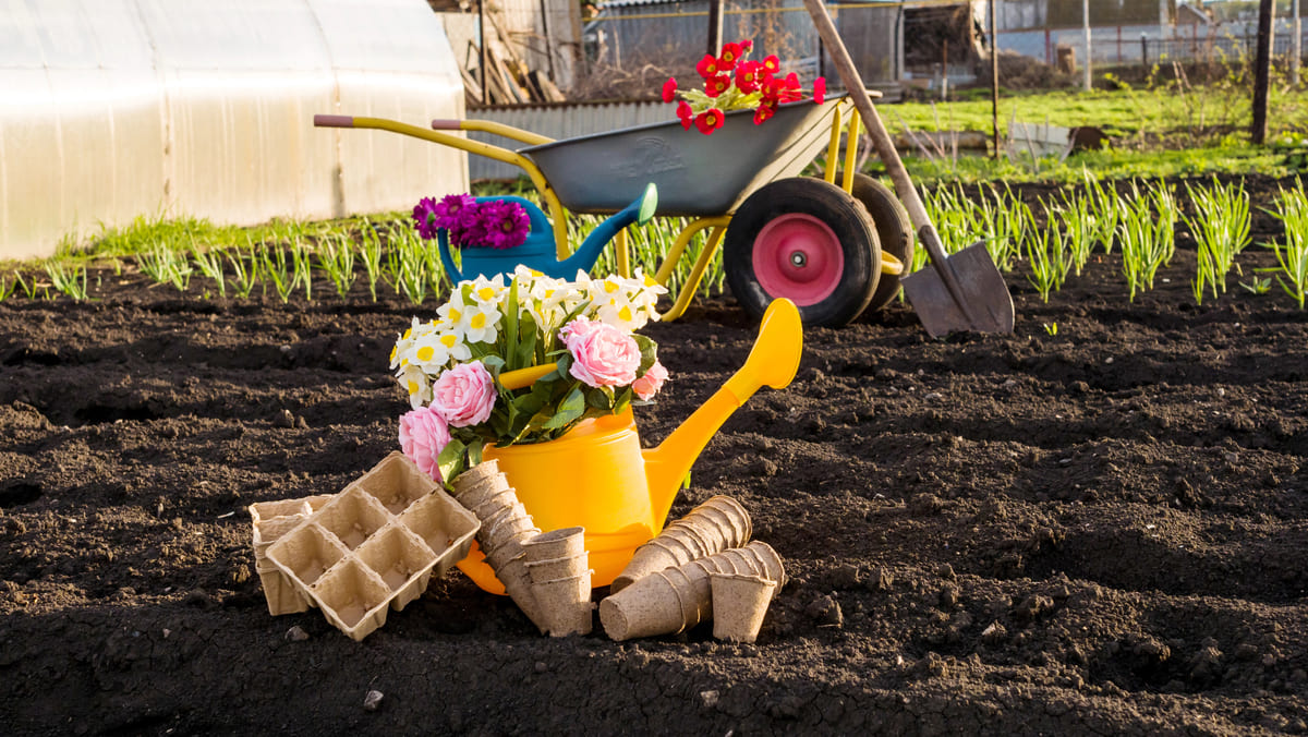 Tips om te zaaien in turfpotjes en andere opkweekpotjes