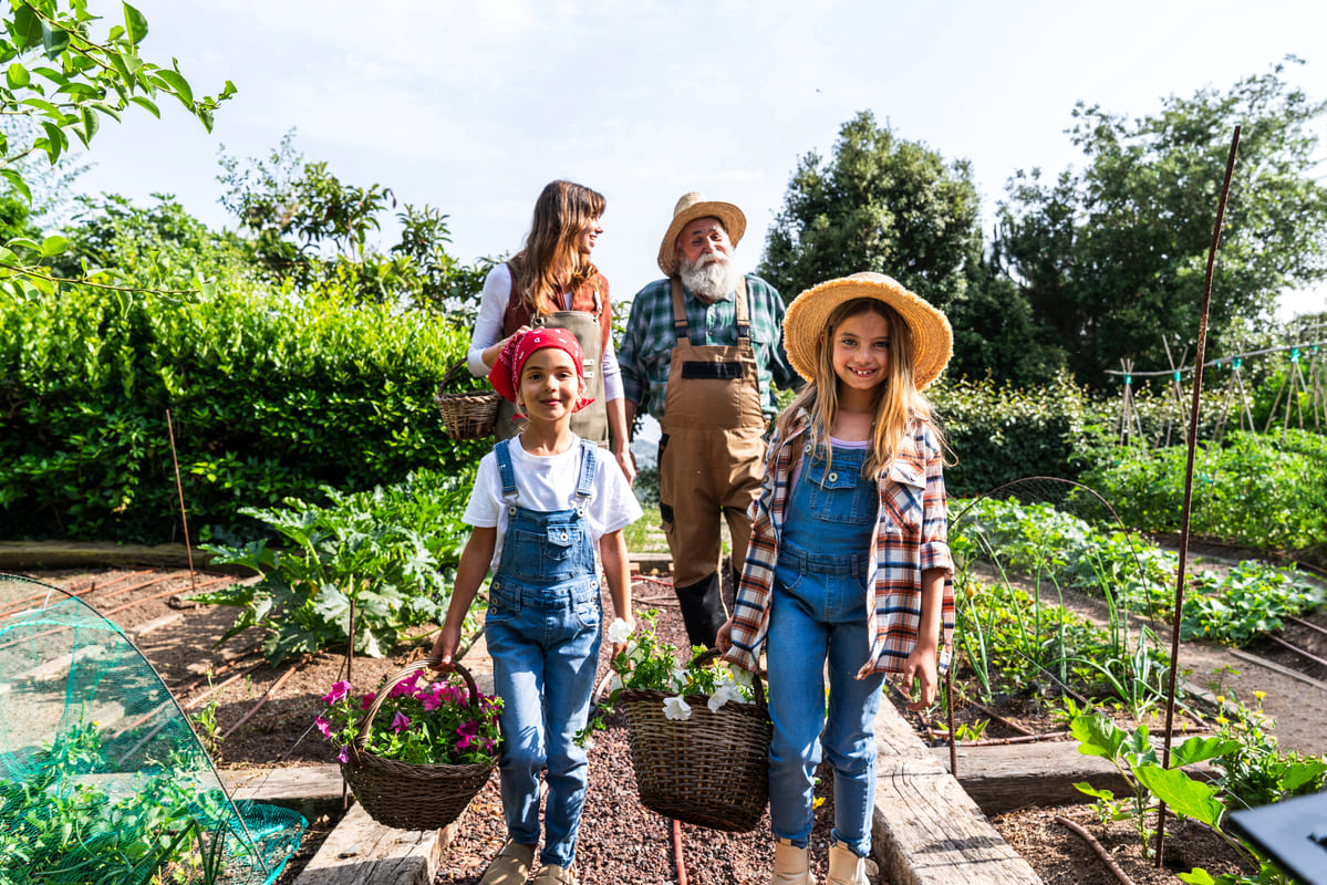 Zaaien in de zomer: volop keus voor de (moes)tuin