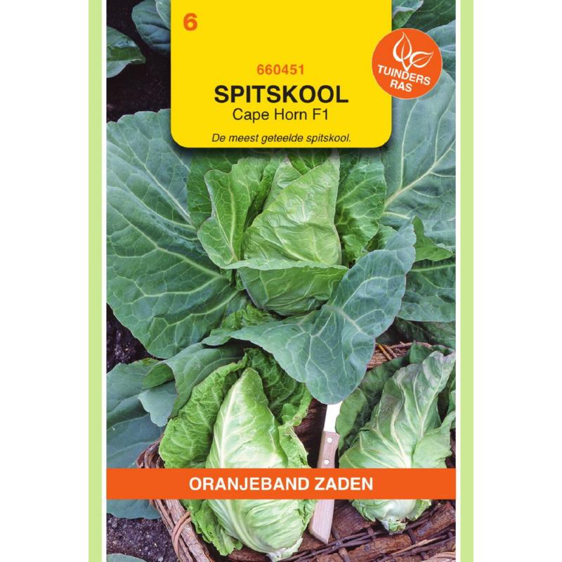 OBZ Spitskool Cape Horn F1